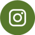 social icon instagram