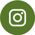 social icon instagram